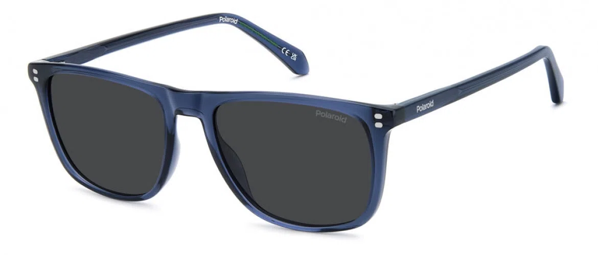 Polaroid Core PLD4202 Sunglasses - view 3